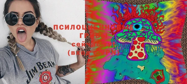 прущие крисы Беломорск