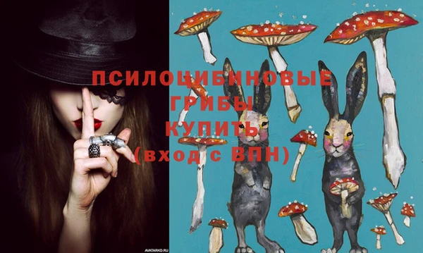 МДМА Белокуриха